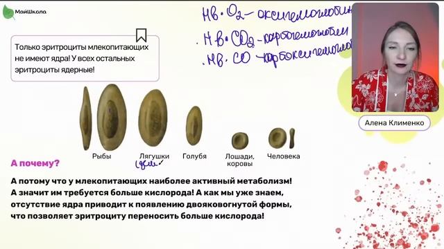 Кровавый марафон. Урок 1 смотреть онлайн