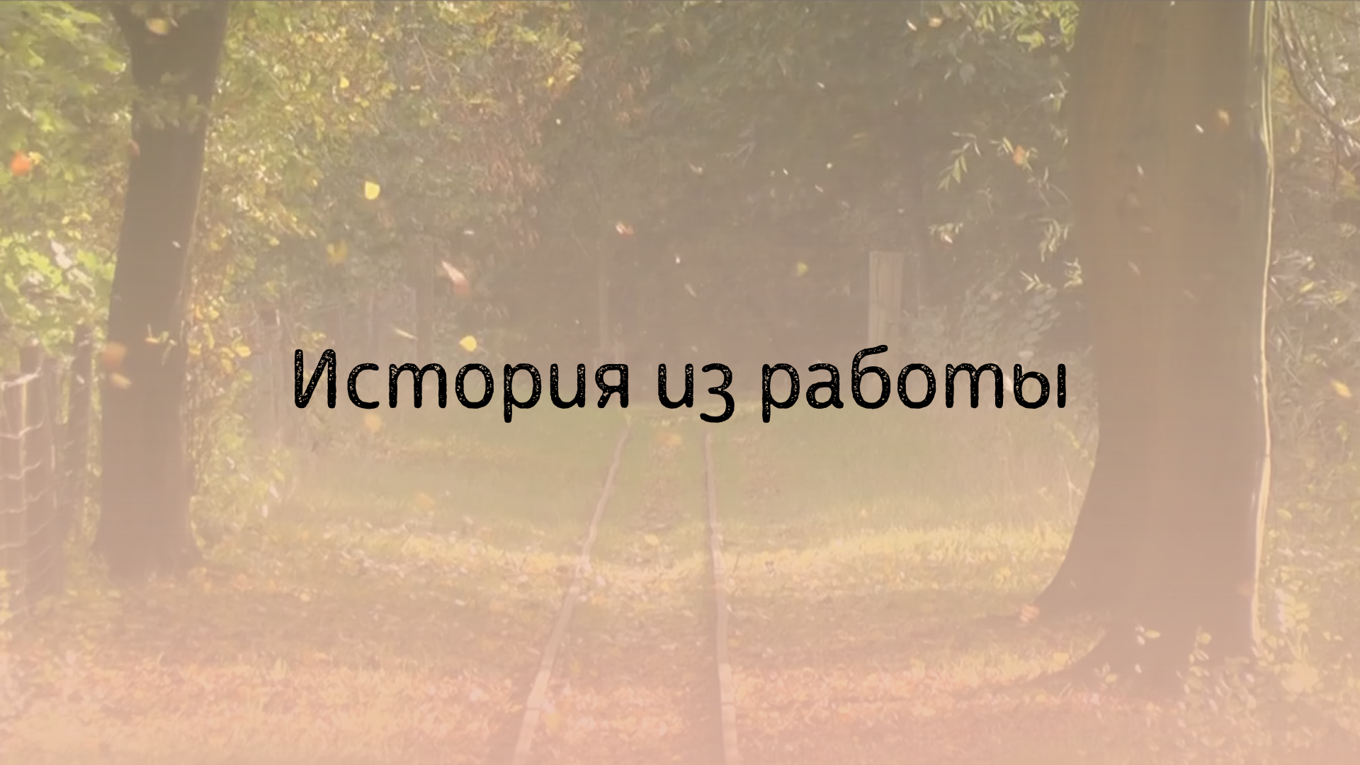 История из практики смотреть онлайн