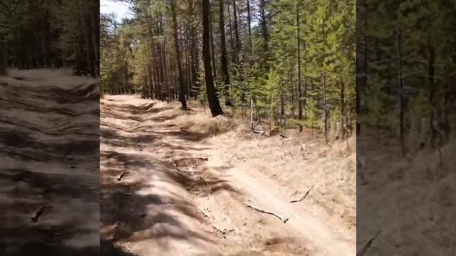 Байкал-2019. Берег Бурых медведей. Заповедное Прибайкалье. Дорога домой. смотреть онлайн