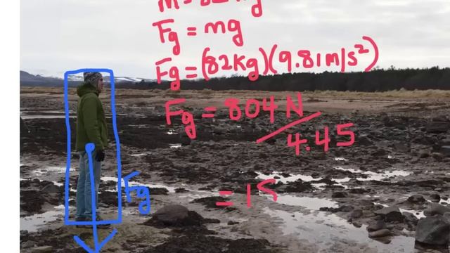 The Force of Gravity and Weight смотреть онлайн