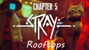 Stray Gameplay 4K UHD. Chapter 5: Rooftops