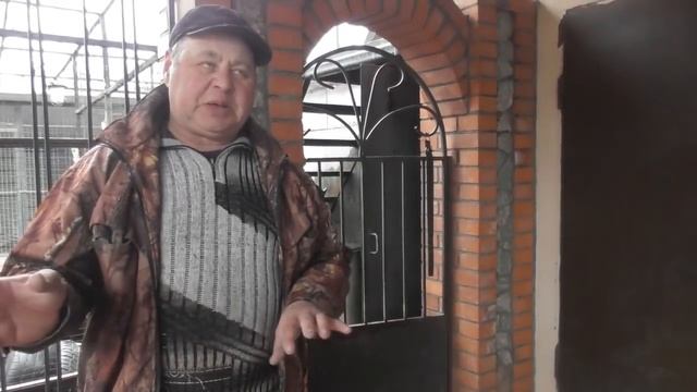 Как можно получить с одного голубя за две недели 8 яиц 25 02 22г смотреть онлайн