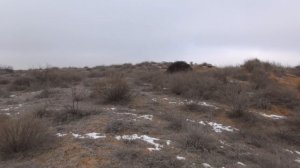 ОХОТА НА ВОЛКОВ в степи. Загадка из прошлого...