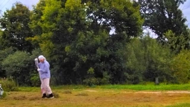 трава для мульчирования грядок на будущий год смотреть онлайн