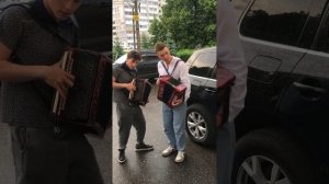 Белые розы на гармошках❤️