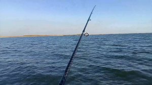 ловля судака, щуки и окуня на реке маныч. веселовское водохранилище...