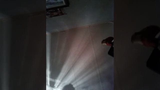 Марійка снимает відео про то как она роспокававает куклы ehchahtimals смотреть онлайн