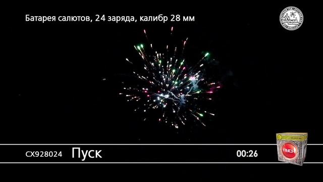 СХ928024 Пуск смотреть онлайн