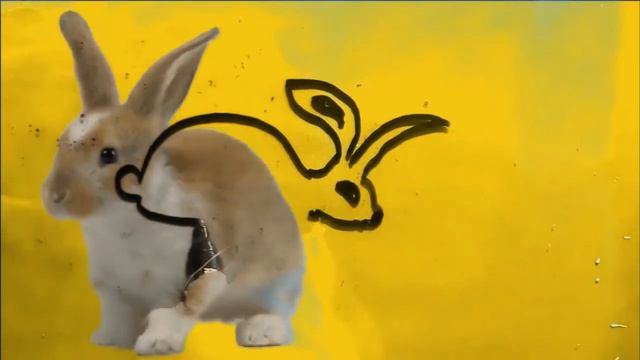 кролик рисуем смотреть онлайн