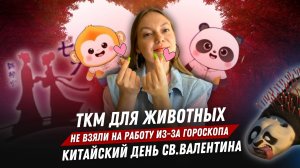 Новости Китая №61 |День св. Валентина в Китае |ТКМ для животных | Не берут на работу из-за гороскопа