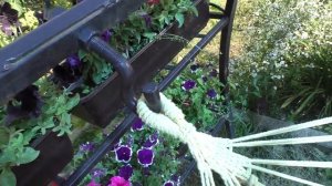 Виноград . Отдыхаем .Гамак .