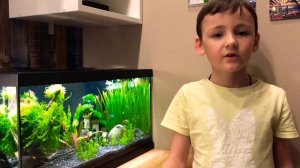 Мой аквариум. Неоны, Керри, Данио Гло Фиш