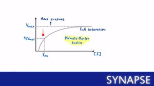 USMLE Step 1 - Фармакология: кинетика ферментов | уравнение Михаелиса - Ментена и не только