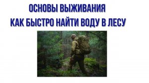 Как быстро найти воду в лесу