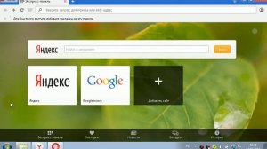 Как включить javascript в Opera