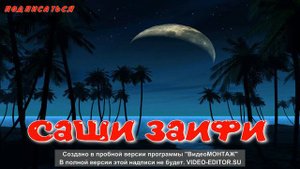 Саши Заифи хир нуст МР4