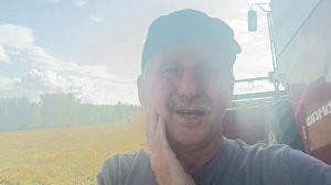 Про люцерну