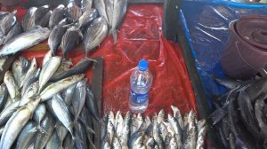 Шри-Ланка рыбный рынок Галле