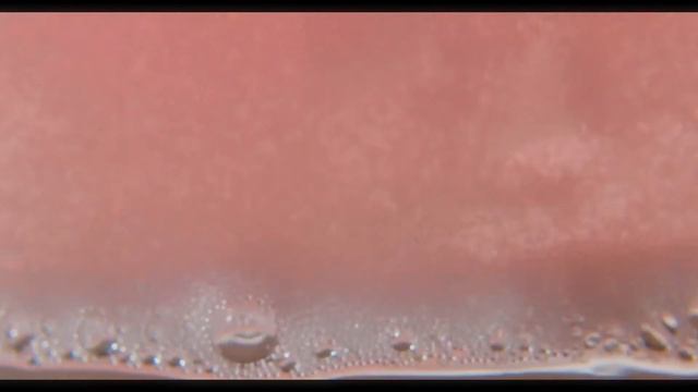 Hibiscus Spec Commercial смотреть онлайн