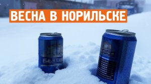 Весна в Норильске / Очень тепло / Сильный ветер / Норильск блог