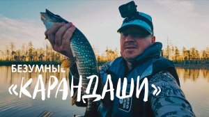 БЕЗУМНЫЕ КАРАНДАШИ.