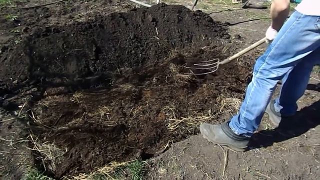 Теплая грядка под огурцы#огурцы#теплаягрядка#огород#грядки смотреть онлайн