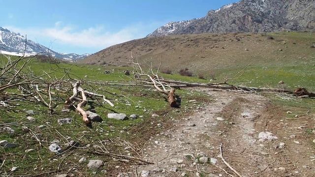 Вырубка деревьев в ущелье Суу-Баши_1 смотреть онлайн