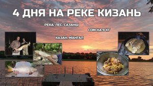 Четыре дня в Астраханской области. Река, лесок, сазаны, караси, сом.  Караван Сарай. Август 2023