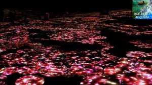 БОЛИТ ДУША ОТ ПОТЕРЬ