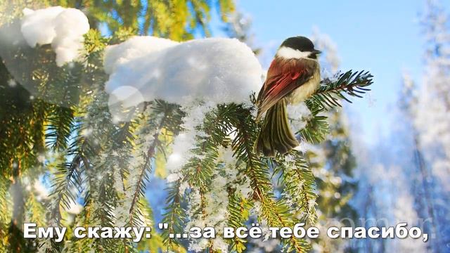 ❂До новой встречи зима!❂#Музыкальная открытка#  komur