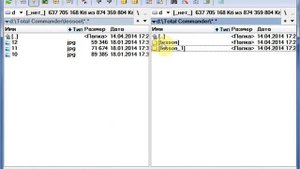 Урок 1. Работа с Total Commander. Копирование, перемещение, удаление файлов