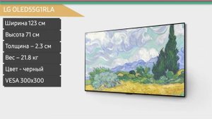 Телевизор LG OLED55G1RLA (OLED55G1)
