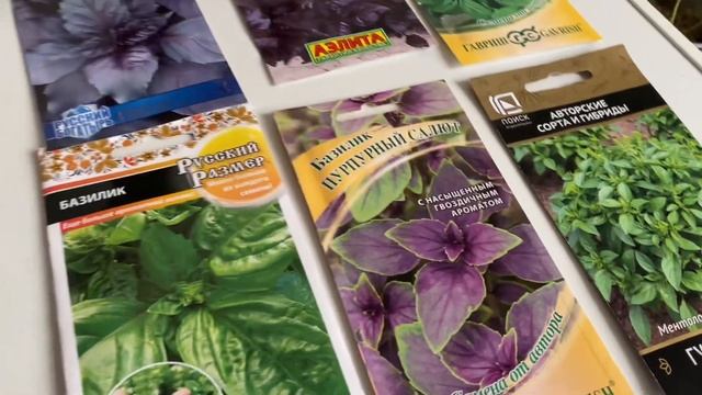 736❤️По плану. Новый объект на участке. смотреть онлайн