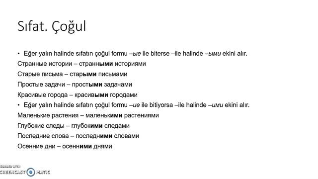 7-3  Творительный падеж- Прилагательные,  Притяжательные и Указательные местоимения