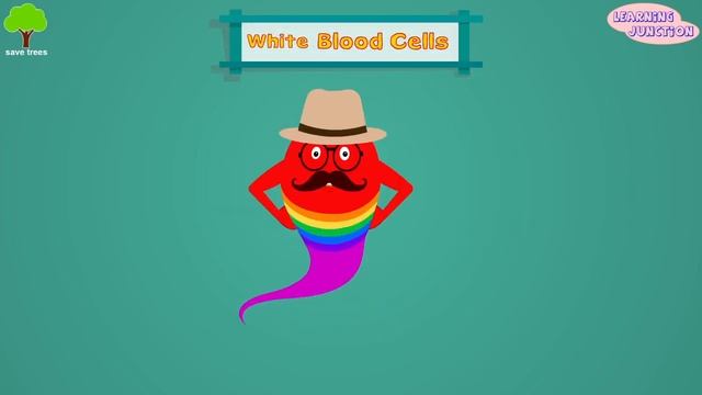 Human Blood Video  Blood Components  Blood Cells