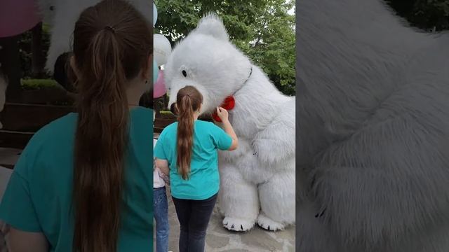 Там где я всегда праздник! Поздравление от белого медведя