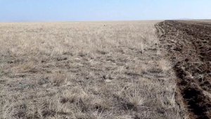 Наварил рессору на лемех плуга и ремонт корретки ДТ-75М