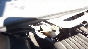 Ситроен Эвазион 2002г  куплен новым в России - Citroen Evasion 2002 purchased new in Russia!