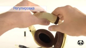 Видеообзор на Наушники Sennheiser HD 598