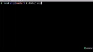 21. The Purpose of the IT (-it) Flag | Docker and Kubernetes The Complete Guide