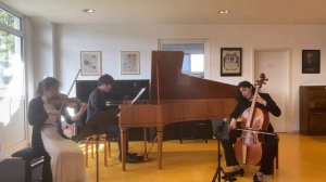 Beethoven "Ghost/ Fledermaus” Trio, I. Allegro Vivace e con brio