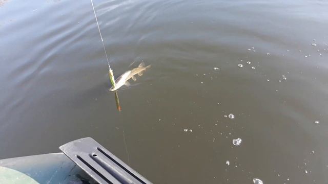 Рабочий воблер 145мм плавающий зеленый смотреть онлайн