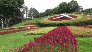 ФЕСТИВАЛЬ ПИОНОВ В ЛОЯНЕ