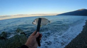 🎣 Ласкирь на спиннинг. Булеры.