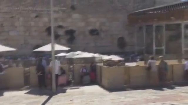 Begthelord Sending A Prayer to the Western Wall, May 2016/ Вложение записки в Стену Плача, май 2016 смотреть онлайн