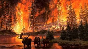 Костер, стихотворение