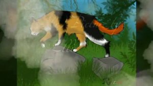 Коты воители главная песня