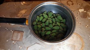 Сосновая шишка( огромная польза для здоровья)