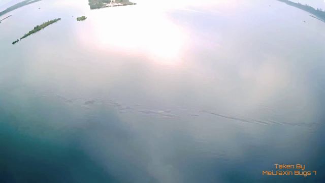 MJX Bugs 7 Range Test Part 2 смотреть онлайн