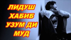 ЛИДУШ Х,АБИБ - УЗУМ ДИ МУД